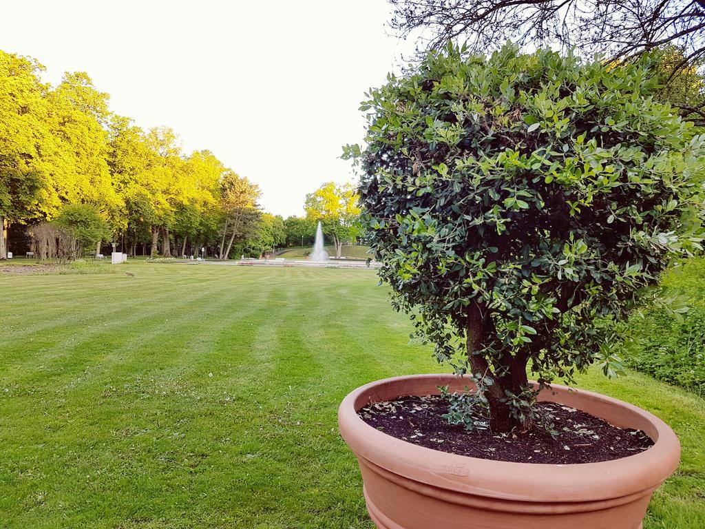 Hotel Garni Goldene Traube Bad Windsheim